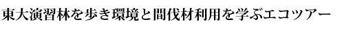 東大演習林を歩き環境と間伐材利用を学ぶエコツアー